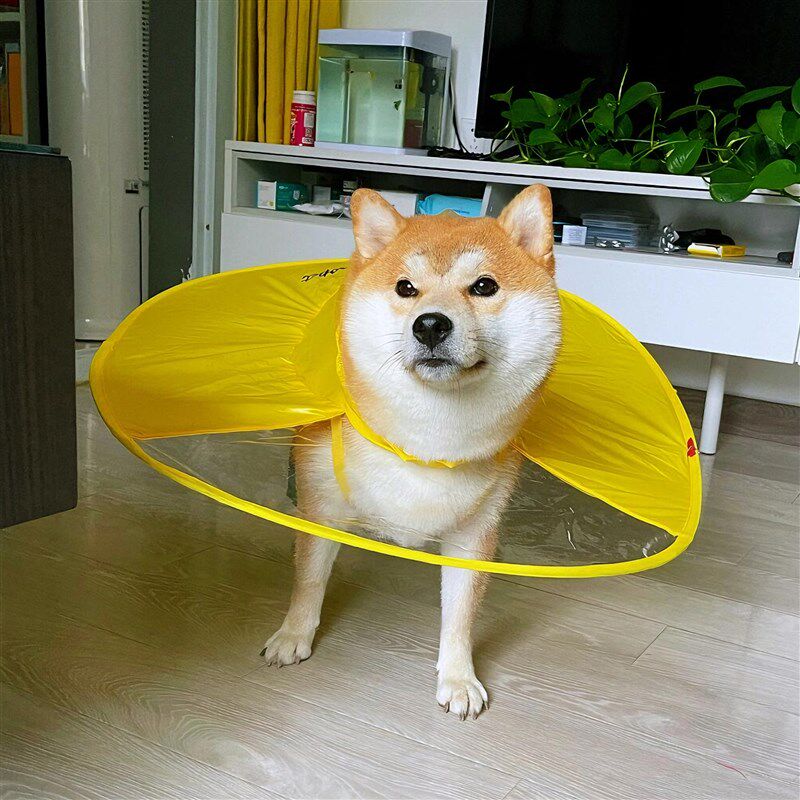 狗狗雨衣柯基斗篷式雨伞帽飞碟雨衣中小型犬雨披宠物雨帽雨天衣服