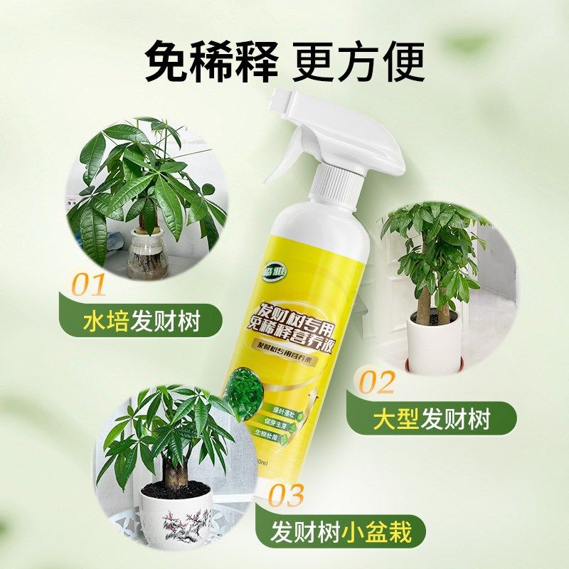 发财树专用营养液绿植物通用型免稀释液体肥料家用盆栽养花有机肥,鲜花速递/花卉仿真/绿植园艺,家庭园艺肥料,淘宝优惠券,粉丝福利购,淘宝优惠卷
