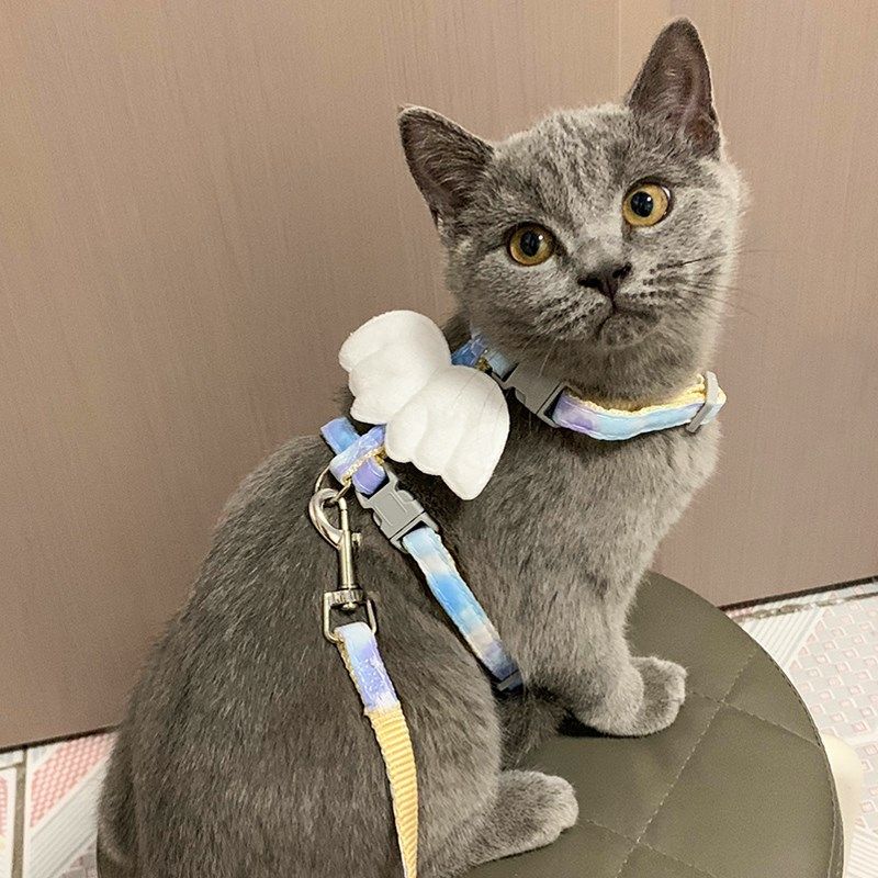 新款猫咪翅膀工字牵引绳遛猫绳锚链遛狗绳外出防挣脱专用宠物用品,宠物/宠物食品及用品,猫牵引绳,淘宝优惠券,粉丝福利购,淘宝优惠卷