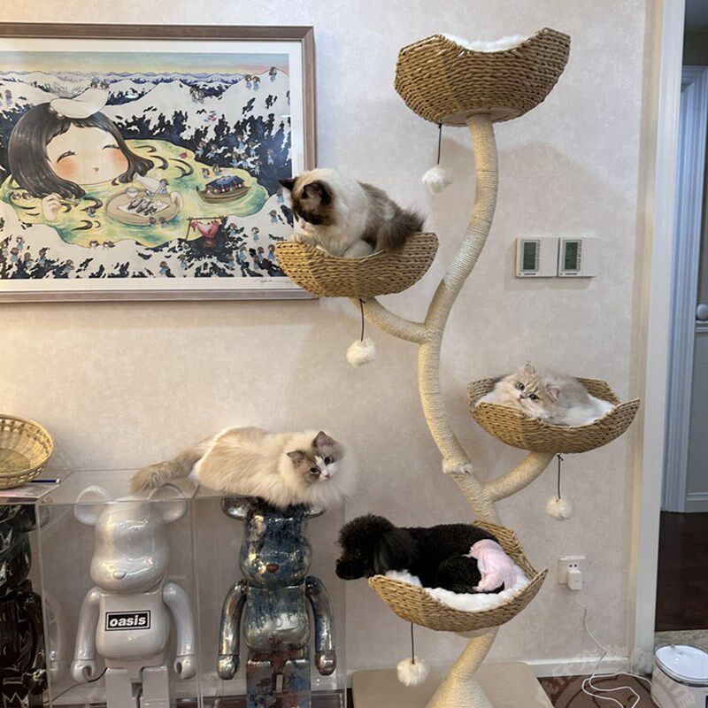 虎仔凯瑞花树猫爬架猫抓柱猫窝猫树猫跳台猫玩具磨爪猫架子攀爬架