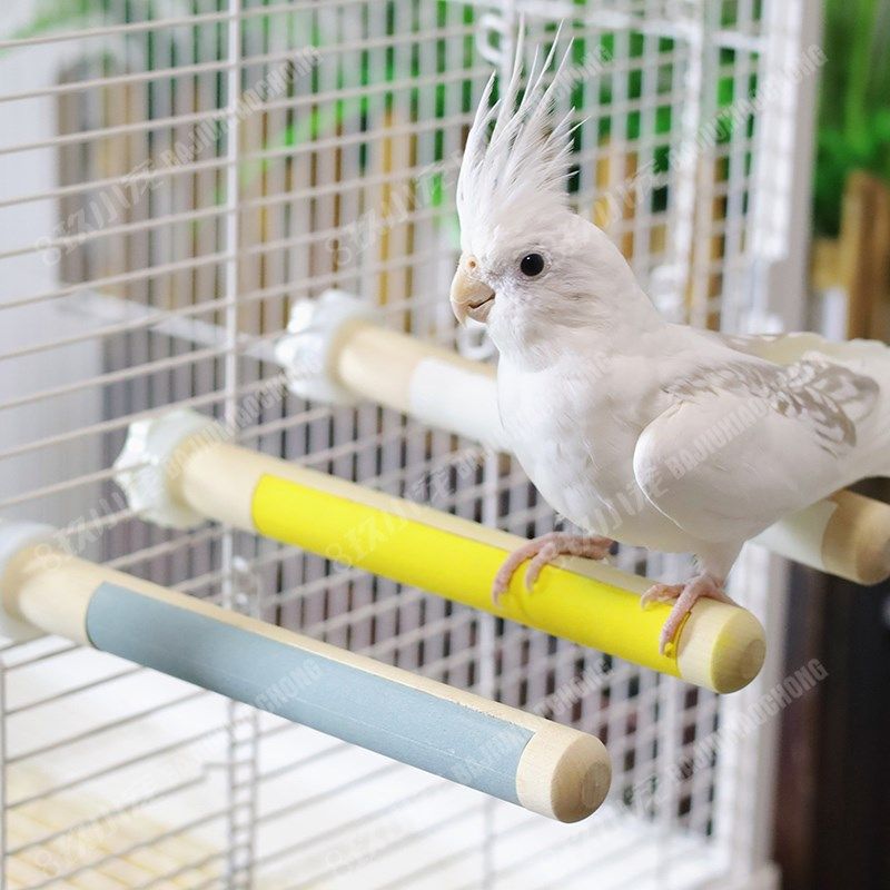 8玖-鹦鹉磨爪站杆站棒玩具磨爪棒站棍磨砂站架玄凤虎皮牡丹鸟笼,宠物/宠物食品及用品,鸟玩具,淘宝优惠券,粉丝福利购,淘宝优惠卷