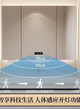 11366智能感应不锈钢镜灯柜定抽挂墙式带沥水镜子收纳美妆架纸制