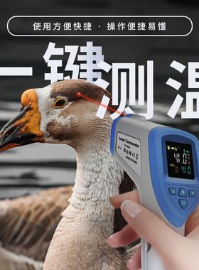 精度NJF动物测温仪动3枪物体温计动物测温DT-88高8A