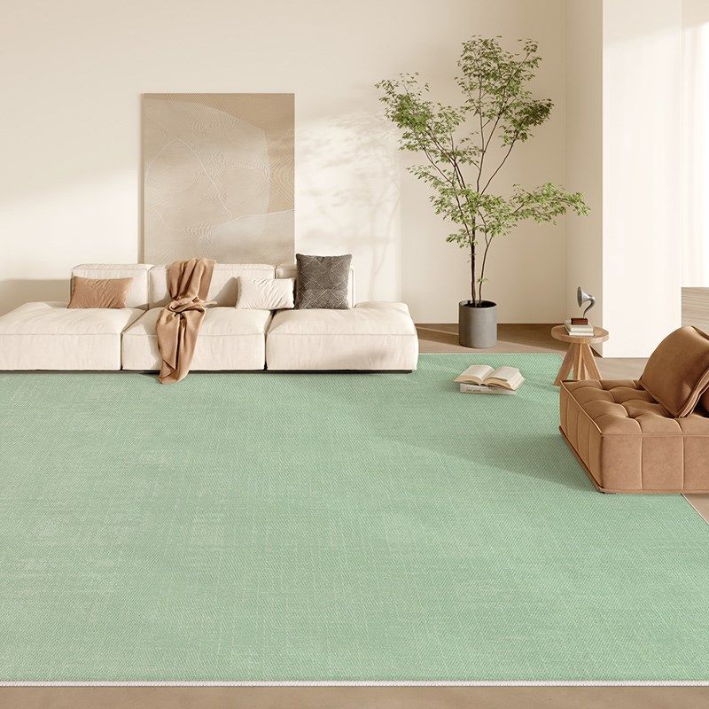 地毯绿色客厅卧室床边房间2024新款免洗可擦免打理高级夏天地垫子