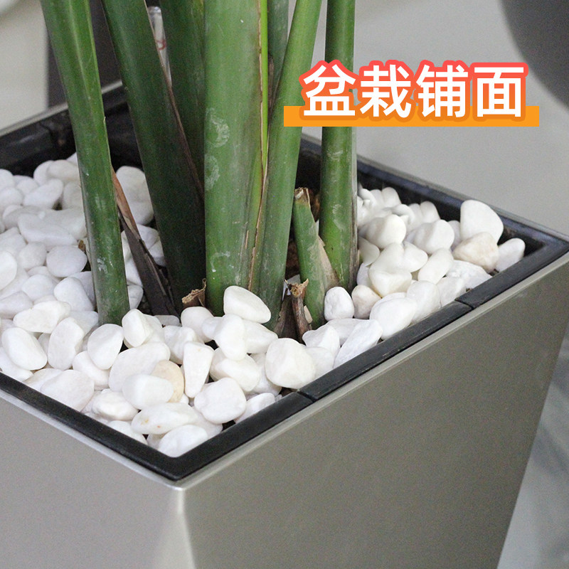 天然雨花石铺面盆栽花盆小白石子鹅卵石庭院造景装饰白色石头铺路,鲜花速递/花卉仿真/绿植园艺,其它园艺用品,淘宝优惠券,粉丝福利购,淘宝优惠卷