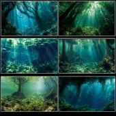 鱼缸背景纸3d立体高清图贴画造景水族箱5d壁纸南美水草森林自粘