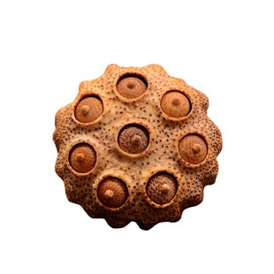 满钉竹根雕莲蓬摆件把件纯手工雕刻文玩金蟾配饰天然老料多子多福