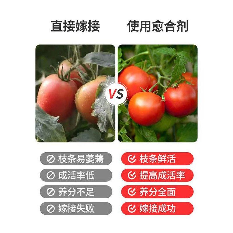 免稀释嫁接愈合剂树木月季果树植物花卉修剪伤口喷洒愈伤膏营养液,鲜花速递/花卉仿真/绿植园艺,家庭园艺肥料,淘宝优惠券,粉丝福利购,淘宝优惠卷