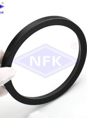 TSE160*140*14.5意大利液路坚耐高压泵车活塞油封机械密封件