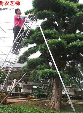 安稳耐轻便型农艺梯AWN-311三脚梯园林园艺梯果园梯铝合金修剪梯