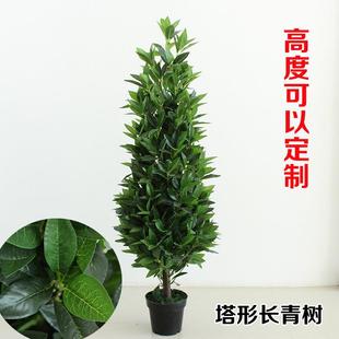 人造仿真植物绿植盆栽室内装饰布景塔形长青橄榄树