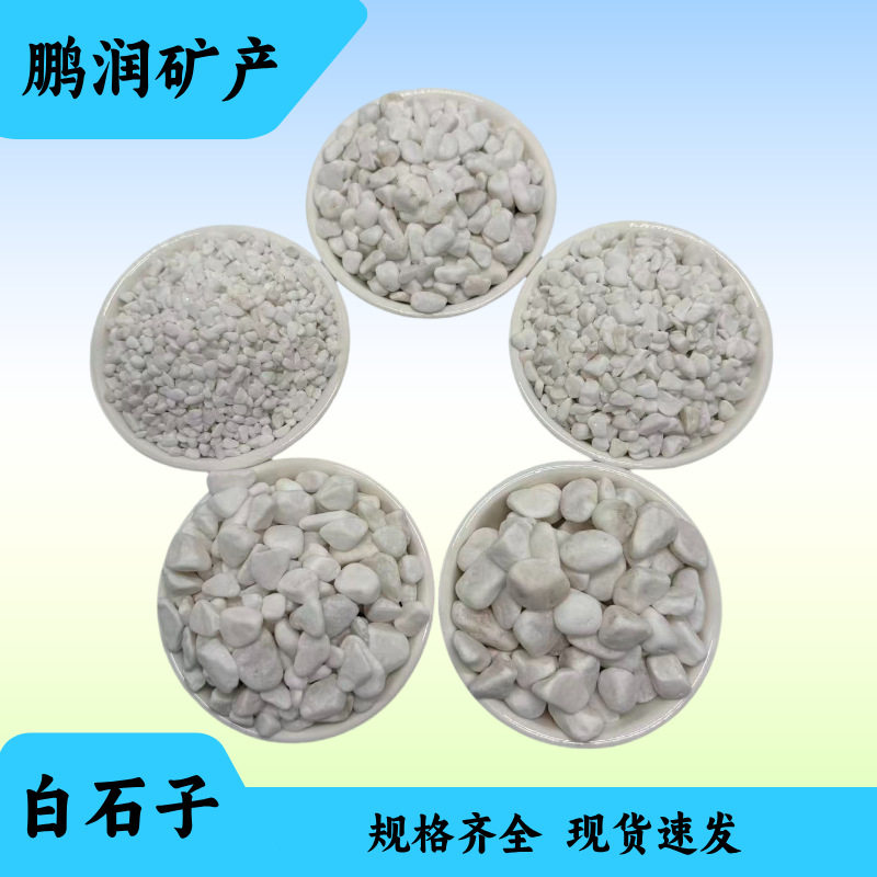批发园林景观用天然白色鹅卵水磨石子园艺盆栽白石子多肉铺面石头