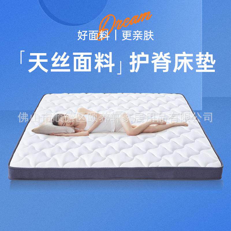 儿童床垫学生宿舍黄麻椰棕老人护脊偏硬棕垫榻榻米可定尺寸折叠