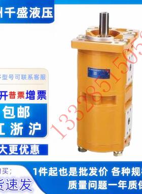 合肥长源双联齿轮油泵CBQL-F532/F532-CFH、CBQL-F525/F520-CFHL