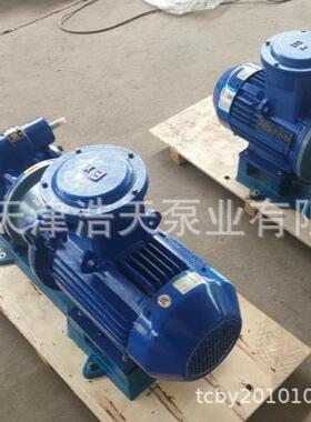 磁力齿轮泵TDCL-12沥青机油柴油渣油稠油重油胶水齿轮泵