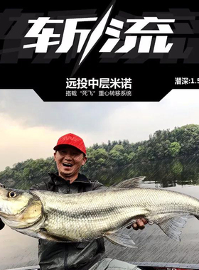 新款EWE美夏斩流深潜浮水米诺远投翘嘴路亚饵鲈鱼鳜鱼海鲈鱼饵