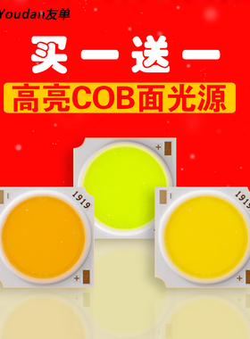 1919mm17mmCOB灯珠121518W20w24w30w36轨道射灯天花灯芯led配件