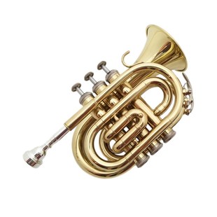 巴哈手掌号乐器金色学生初学者省力袖珍小号银色降B调专业乐队