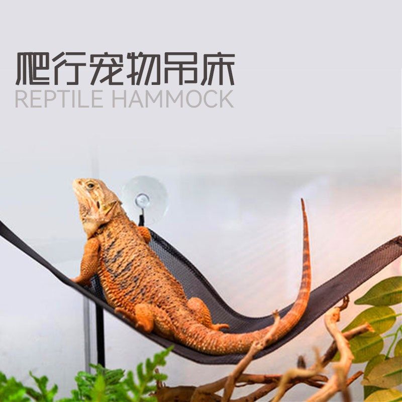 爬宠鬃狮守宫蜥蜴鸟吊床晒背秋千床自然造景三角形攀爬行吊床,宠物/宠物食品及用品,爬宠躲避/造景,淘宝优惠券,粉丝福利购,淘宝优惠卷
