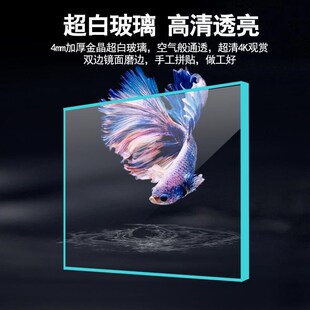 斗鱼缸超白玻璃小型迷你桌面生态缸泰斗国斗巨斗鱼缸办公室创意缸