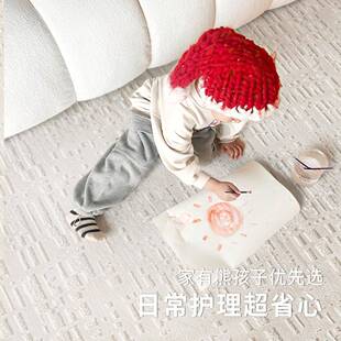 客甲厅地毯祛除醛防防污高级奢侈加密卧C山玥室发沙床边轻水奢高