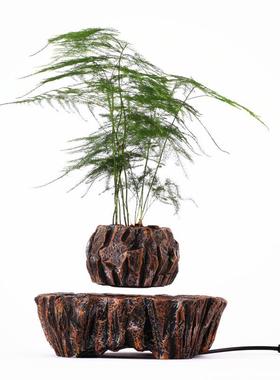 磁悬浮空中植悬浮盆栽创特意摆件家居物饰品M005B-PW工艺礼品新奇