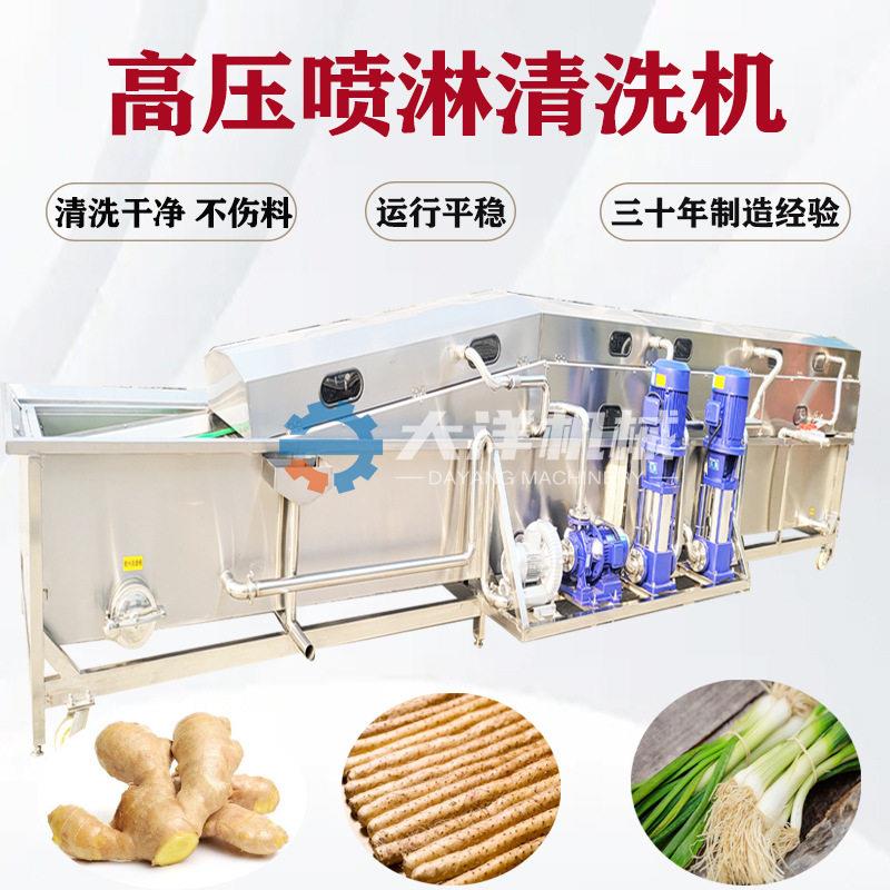 压清洗机自动压喷淋式山姜仔清洗机械全自动蔬菜清洗流水线