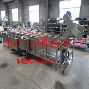 供应苹果清洗机水果气泡清洗机鸭梨清洗设备速冻蒜苗清洗机