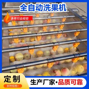 苹果分选清洗机柑橘洗果机水果清洗打蜡机食品工厂洗果机果蔬