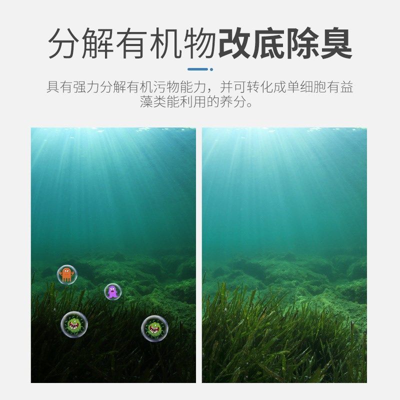 枯草芽孢杆菌水溶袋水产养殖鱼虾蟹水产用净化水质抑制害菌害藻,宠物/宠物食品及用品,其他益生菌,淘宝优惠券,粉丝福利购,淘宝优惠卷