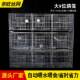 大号9位元 舍宝笼养殖场专用鸽配繁BII殖鸽对笼三层鸽鸽信棚元 宝鸽