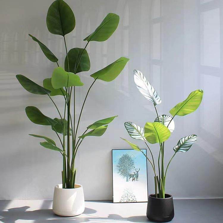 2023新景款仿真人绿植雪竹茄芋008旅蕉芭蕉树高端室内大型观