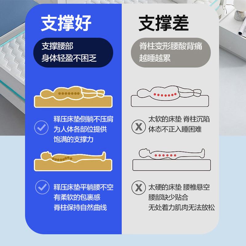 学宿舍床生垫用加厚海绵榻47476榻店米单人乳胶软垫子租房酒床家