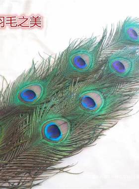 家居饰品摆件孔雀KCK饰羽毛真孔雀毛花婚瓶装品雀翎孔尾庆羽毛