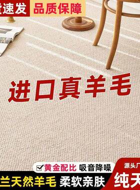 新西兰毛地毯家用纯色地毯卧室地毯隔音厚垫羊毯地DLH菠萝圈地毯