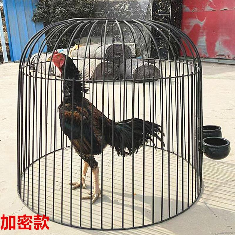 大号加密斗鸡罩笼新款圆笼子折叠笼子鸡笼子专用笼加厚养鸡笼铁笼