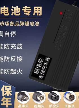 适用 踏浪锂电池电动车充电器24V36V48V10A42V2A54.6V3A60v锂离子