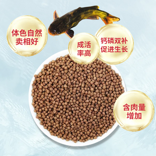 通威8915饲料黄颡鱼黄骨鱼昂刺鱼黄辣丁石斑鱼小颗粒鱼苗饲料饵料