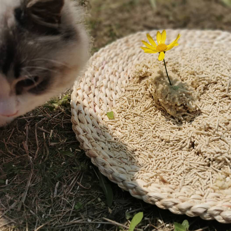 领养之家//铲得嗨领养之家直供豆腐猫砂除臭无尘客冲厕所不粘底6L