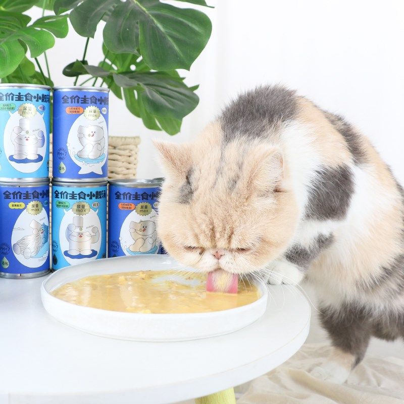 喜崽汤罐主食罐头猫咪全价湿粮利尿嘘嘘罐猫罐头幼猫成猫补水增肥,宠物/宠物食品及用品,猫全价湿粮/主食罐,淘宝优惠券,粉丝福利购,淘宝优惠卷