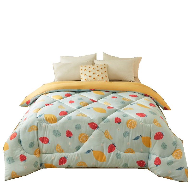 被芯被子单人宿舍学生夏季春秋被冬被专用四季通用150200冬天厚