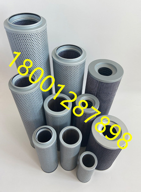 01E.170.10VG.30.E.P 300147 44070363 D68804中联泵浦车液压油滤