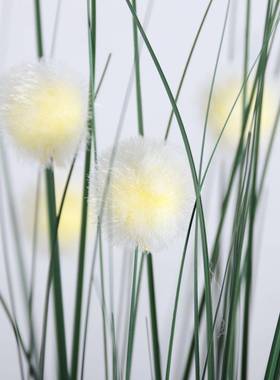 仿狗尾草JFA仿真芦苇盆绿植栽酒店真橱造景假草仿真蒲苇室内装窗