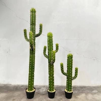 仿真植仙人柱落多棱柱仙人掌绿仙人球盆地AQZ植物室内橱窗景摆件