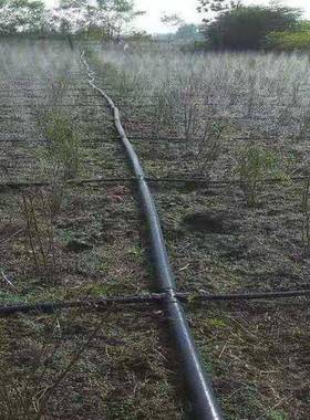 用微喷带灌喷滴管带带农雾化带节RKX水喷水带园林绿化塑料软管-寸