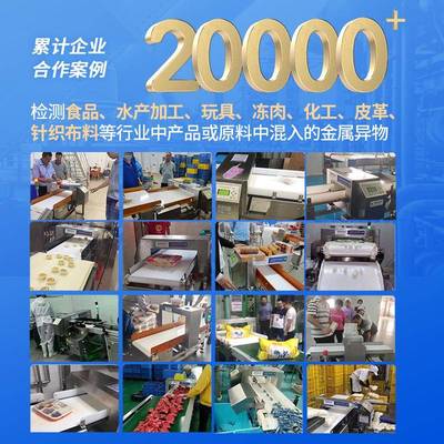 蔬菜类属HM-MD500检测机工厂金流质水线自动剔除金属杂品金食属检