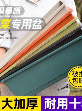 加厚蔬菜FING6841莓特大号花台种菜神器家盆栽庭长盆方阳形种菜盆