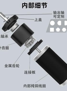 1跨境6-36ZY行星齿轮有直流电机2V微型减速电机马87262刷达243伏