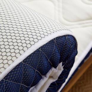 母婴级床垫乳类胶米软垫家用A双人加厚海绵垫褥子0.9无品牌/单人