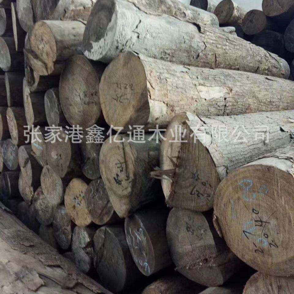 四香原木木21448进口香樟樟木木材料川香樟木防腐规格料一手货源